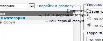 bag.webp