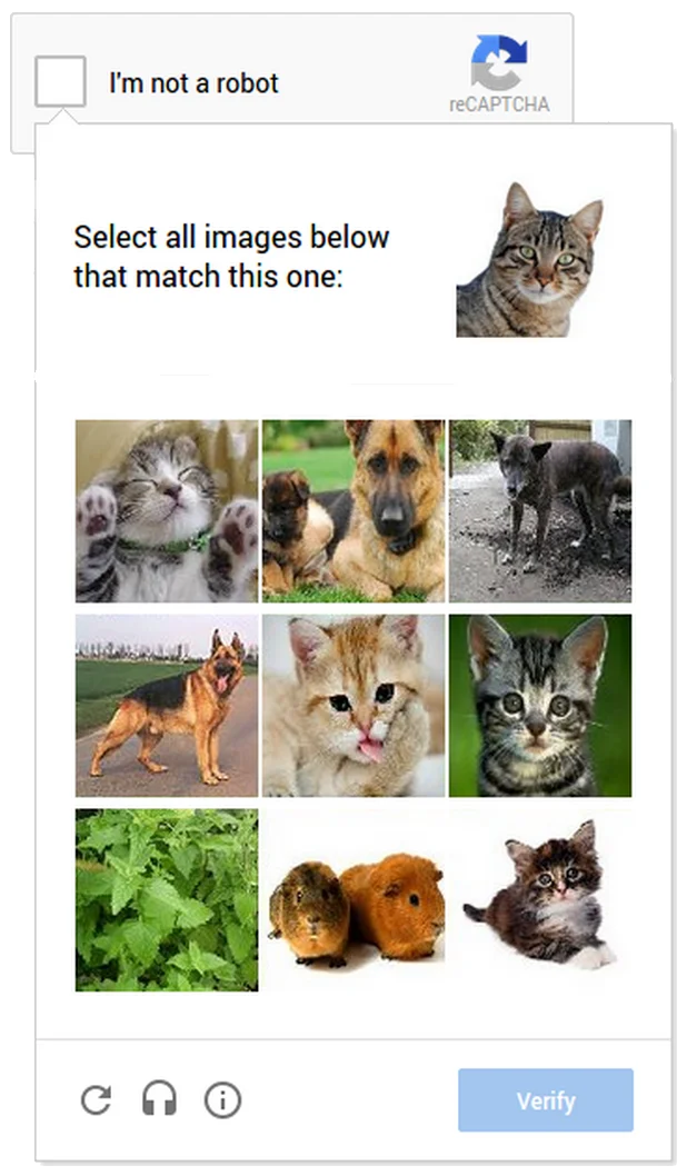 cat_captcha.0.webp