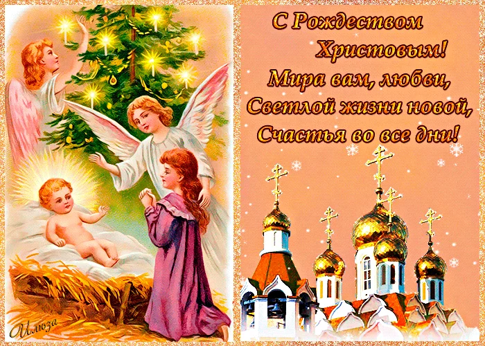 966337245.webp